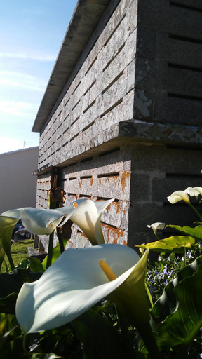 Others 5, Pazo Pias P, Pontevedra