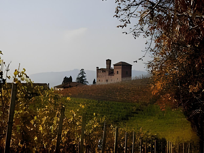 Others 5, Il Forno Dal 1922, Cuneo