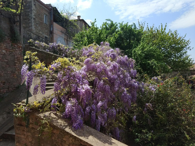 Others 5, B&B "Le tre Muse", Perugia
