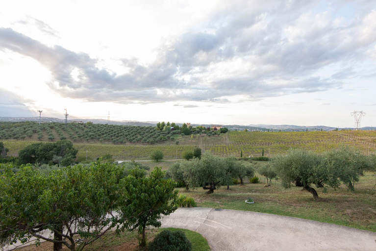 Others 3, Green Residence Villa Assunta, Pescara