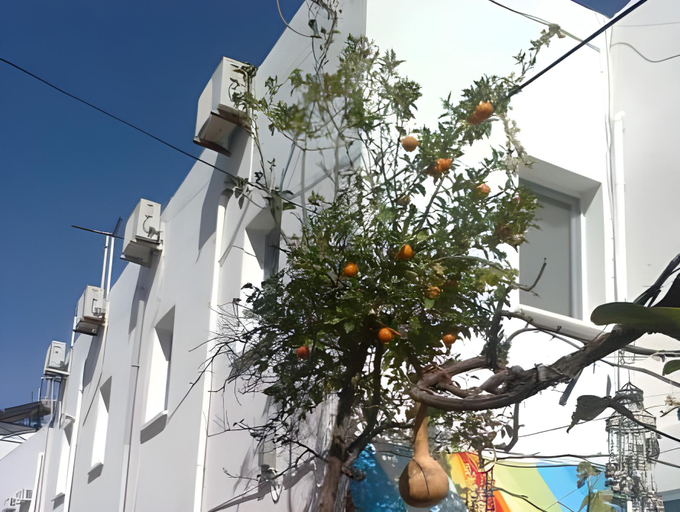 Others 5, Denizati Pension, Bodrum