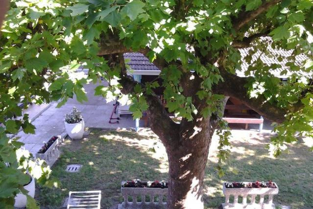 Others 2, Eureka Azienda Agrituristica, Venezia