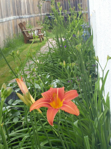 Others 3, Winnipeg Homestay, Division No. 11