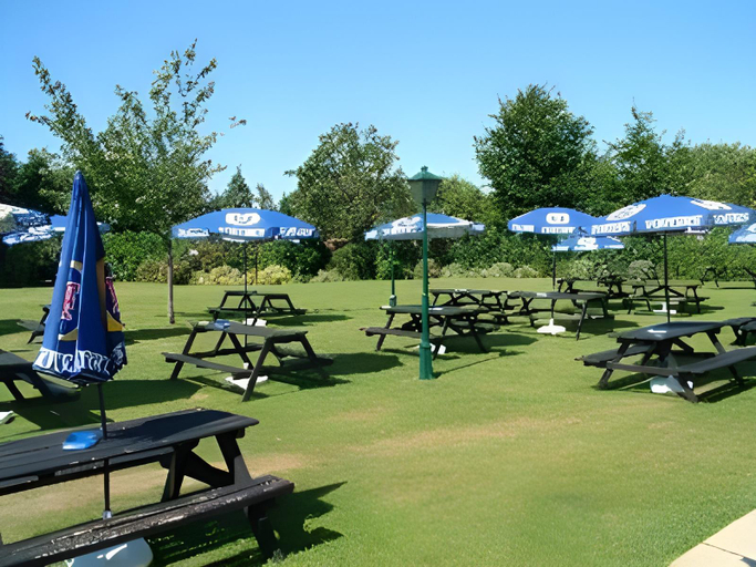 Others 4, Blue Boar Inn, Norfolk