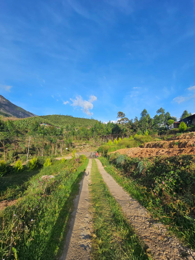 Scenery 18