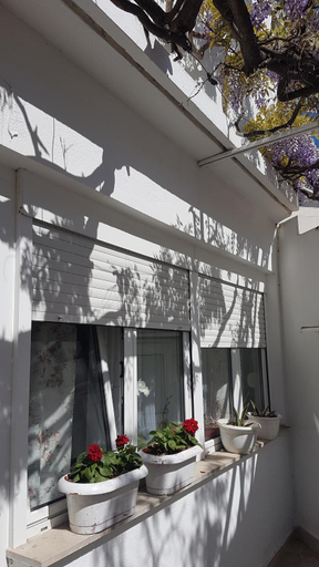Others 3, Apartmani Surlin, Hvar