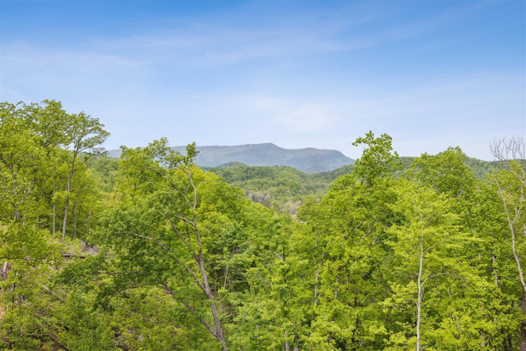 Others 5, Southern Comfort 5 Bedroom Cabin by RedAwning, Sevier