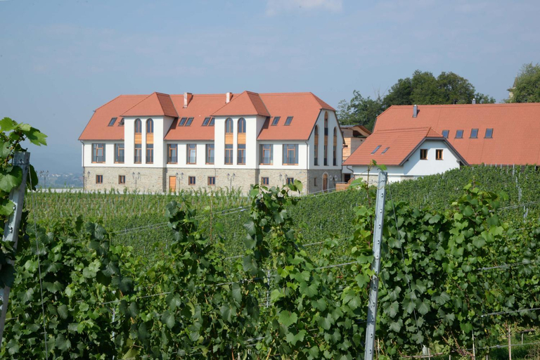 Weingut Taggenbrunn, Sankt Veit an der Glan