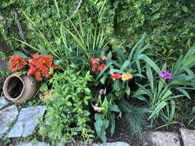 Others 2, Flower House - Lapad, Dubrovnik