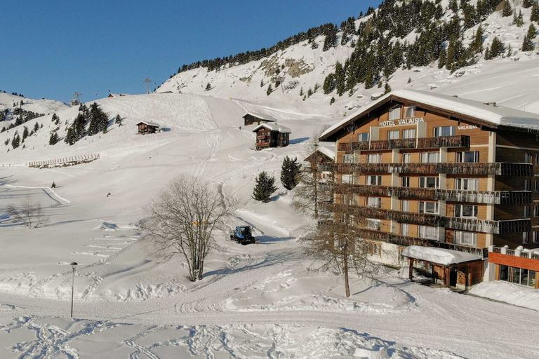 Others 4, Valaisia, Raron