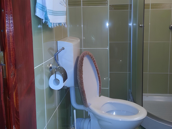 Bathroom 3, Pensiunea Apuseni, Vidra