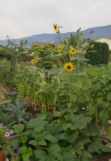 Others 2, Global Village Permaculture BnB, Okanagan-Similkameen