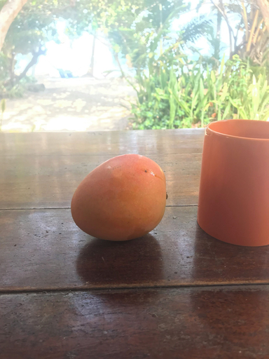 Food & Drinks, Finca Beach House