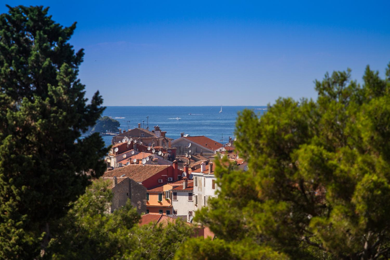 Others 5, B&B Baron Gautsch, Rovinj