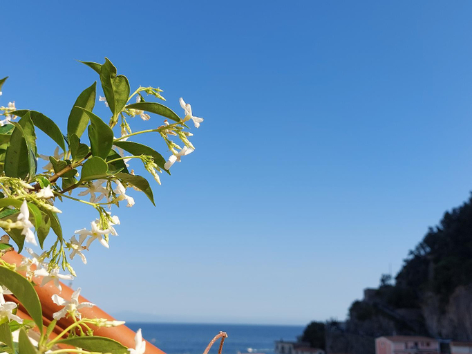 Others 2, B&B Domus San Pietro, Salerno
