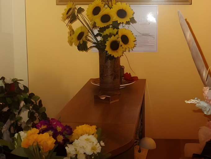 Others 4, Albergo Anna, Perugia