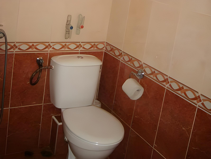 Bathroom 3, Family Hotel Alfa Vita, Sozopol