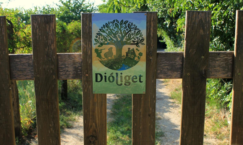 Others 3, Dioliget - Zold Dio Haziko, Székesfehérvár