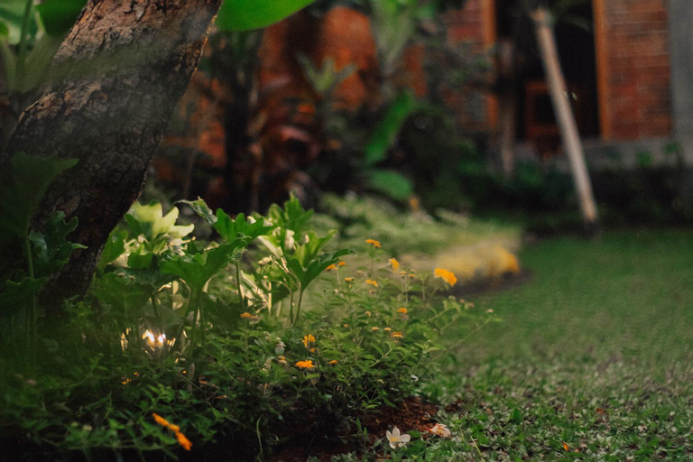 Scenery 6