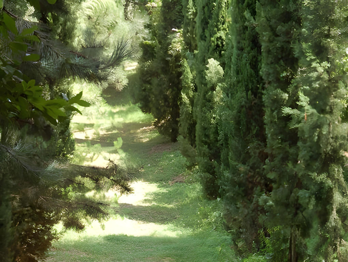Others 5, La Vecchia Quercia, Rieti