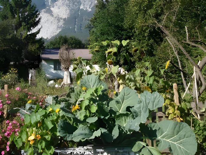 Others 5, Telfer Stubm, Innsbruck Land
