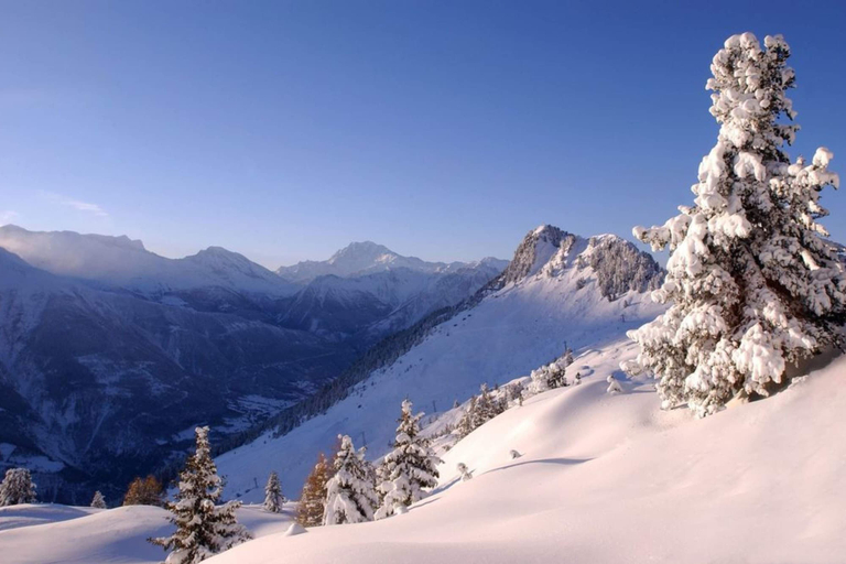 Others 5, Chalet Castellani, Goms