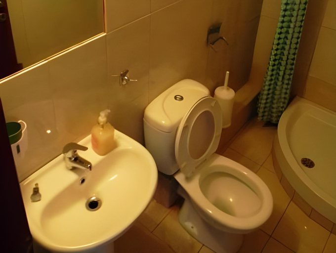 Bathroom, Hotel Toronto, Central Macedonia