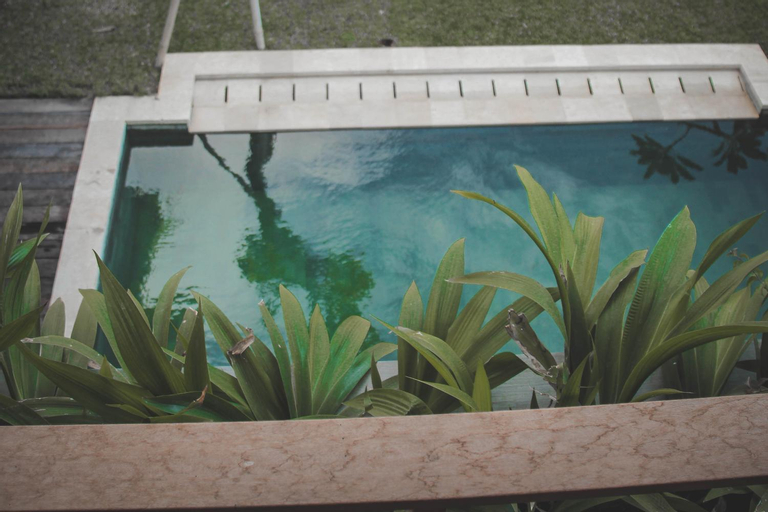 Swimming Pool 8