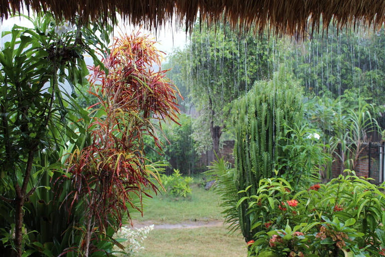 Scenery 4
