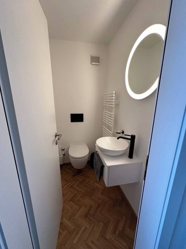 Bathroom 3, Valaisia 50, Raron