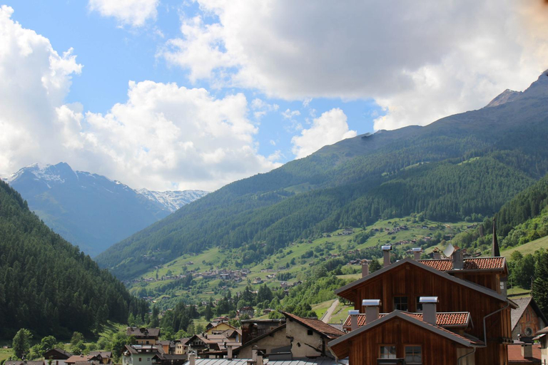 Others 4, B&B Terre Alte, Trento