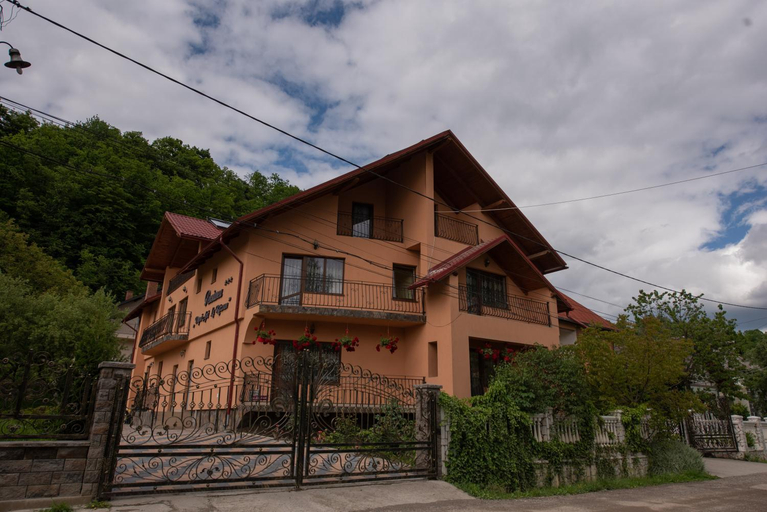 Others 5, Dupa apa la Razvan, Vadu Izei