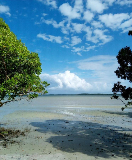 Others 2, Mida Creek Eco Camp community project,Mida Creek Watamu Kilifi County, Kilifi North