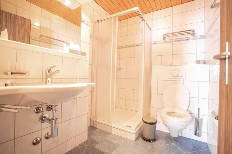 Bathroom 3, Valaisia 49, Raron