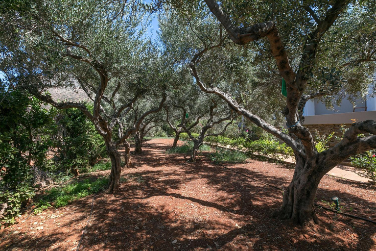 Others 2, Asterion Deep Blue Villa, Crete