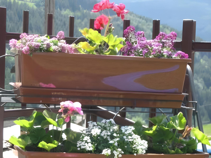Others 5, Residence Casa Federica, Sondrio