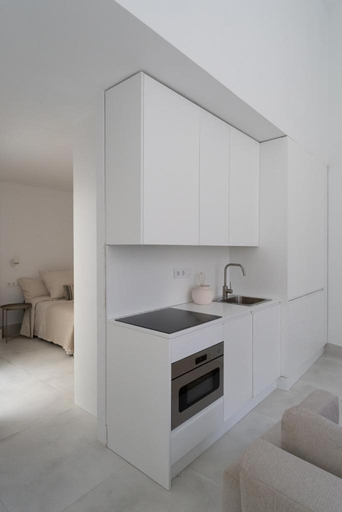 Others 4, Loft in the city, Madrid