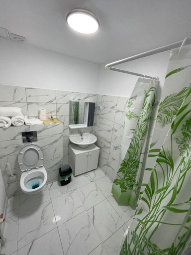 Bathroom 3, Casa Amnisty, Berzasca