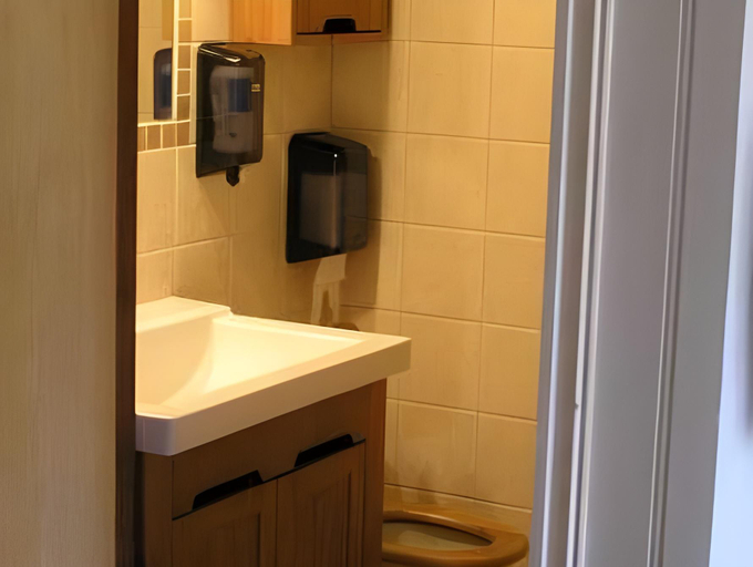 Bathroom 3, Torsetlia, Nore og Uvdal