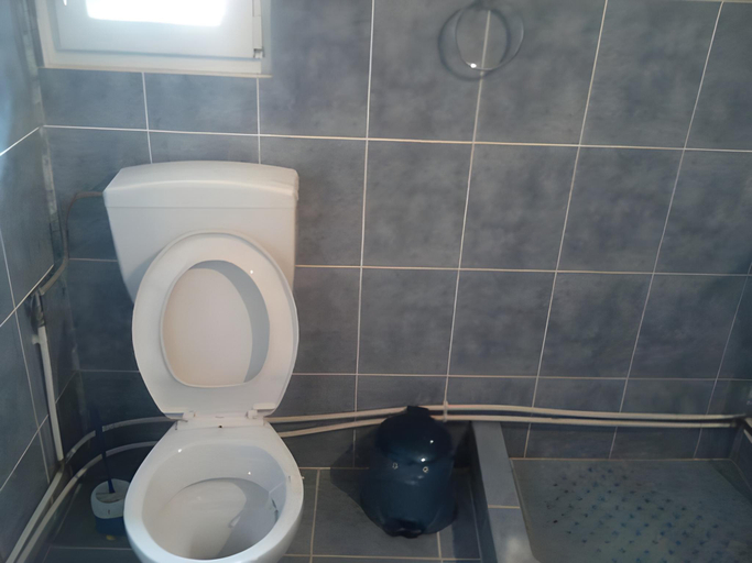 Bathroom 4, Pensiunea Irina 1 si 2, Zarnesti