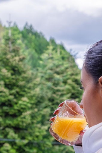 Others 4, FLOARA DI MUNTE Forest Luxury Suites, Epirus