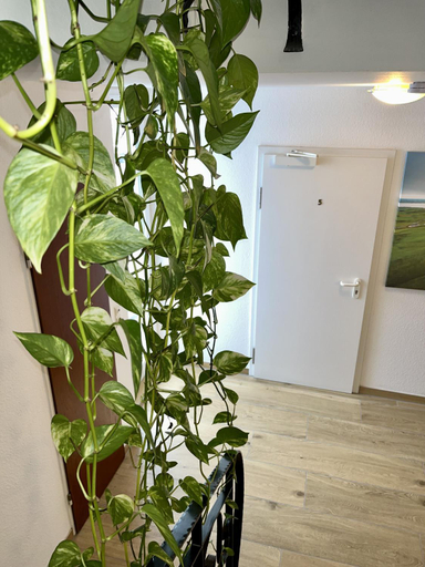 Others 5, Gästehaus Rheinstetten Forchheim, Karlsruhe