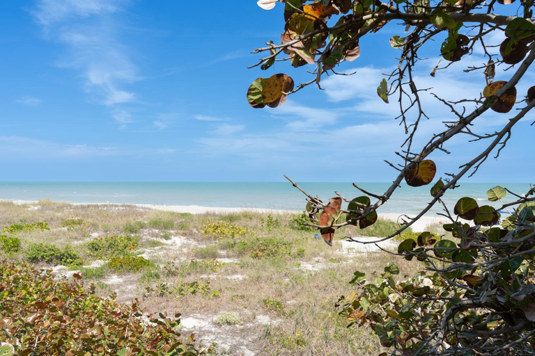 Others 4, Villa Olivo -2BR Modern Luxury-River & Ocean Access, Brevard