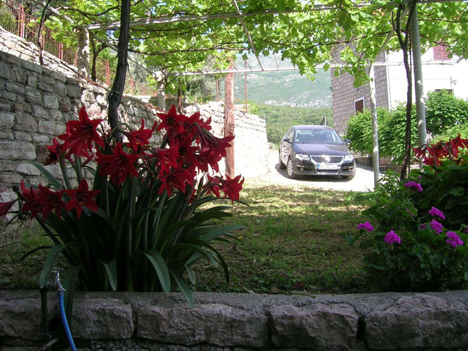 Others 4, Apartments Midzor