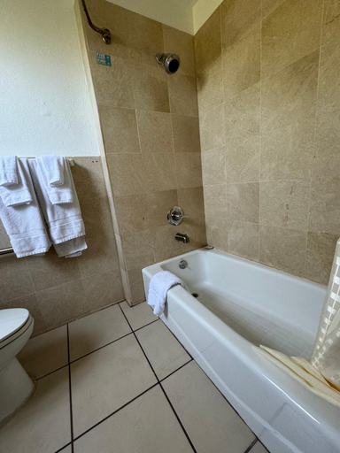 Bathroom 5, Tamalpais Motel, Marin
