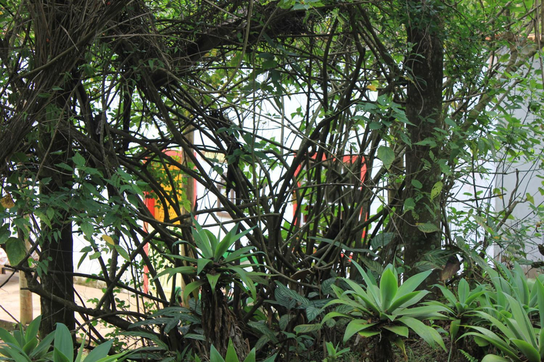 Others 3, Chale na floresta com frigobar, Ouro Preto