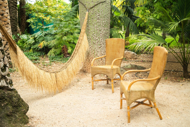 Others 4, El Botanico de Sagra, Alicante