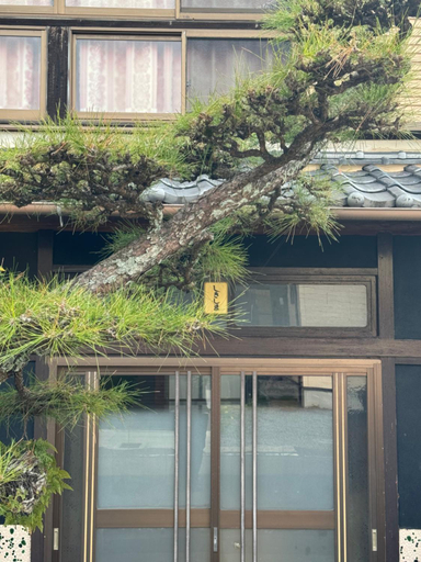 Exterior & Views 1, 敷島旅館, Saijō