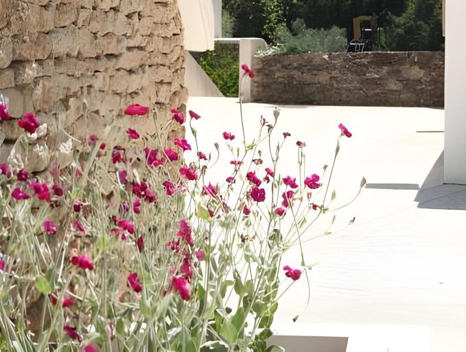 Others 4, Residence Goelia Le Domaine du Moulin Blanc, Vaucluse