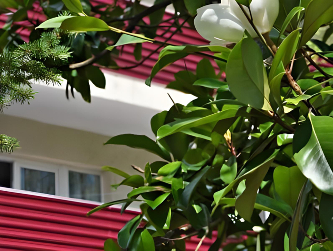 Others 2, Pansionat Yuzniy, Gelendzhik gorsovet